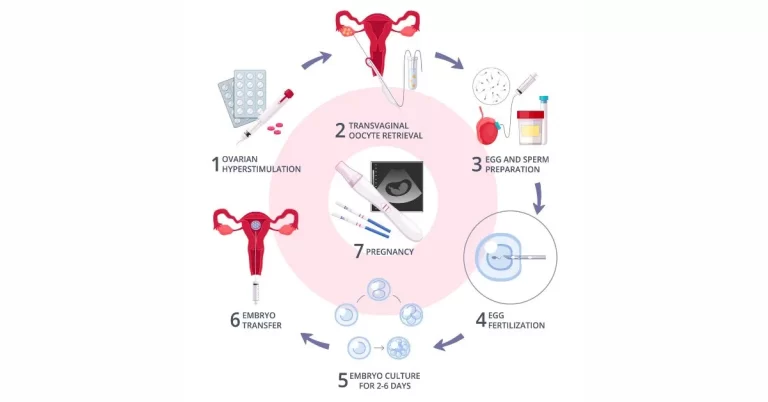 new IVF guidelines - India