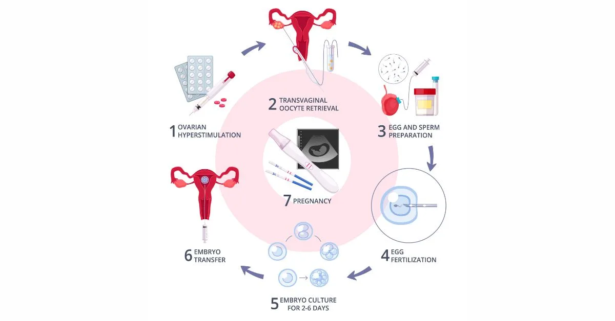 new IVF guidelines - India